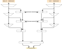 Publication 21