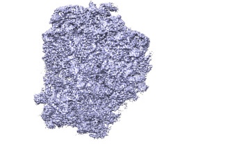 Publication 21